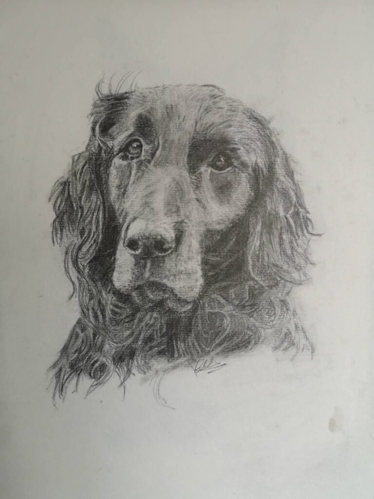 ben