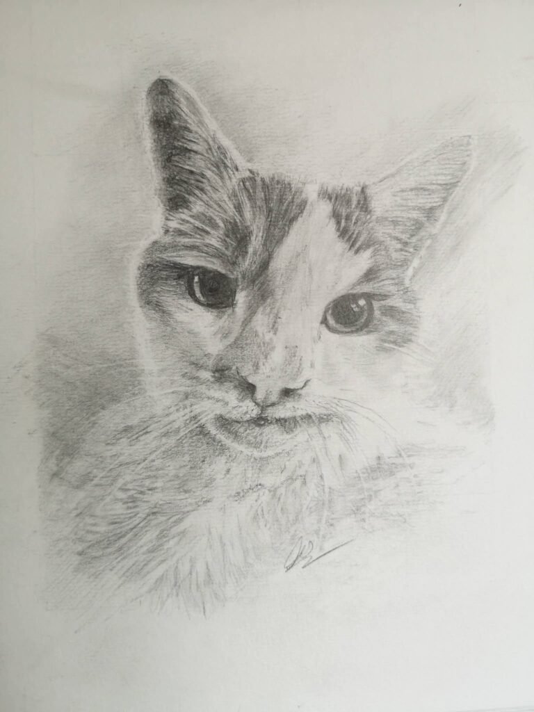 cosmo