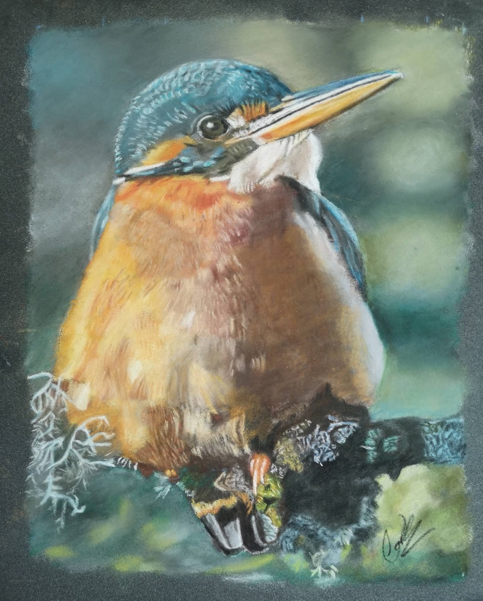 kingfisher drawing