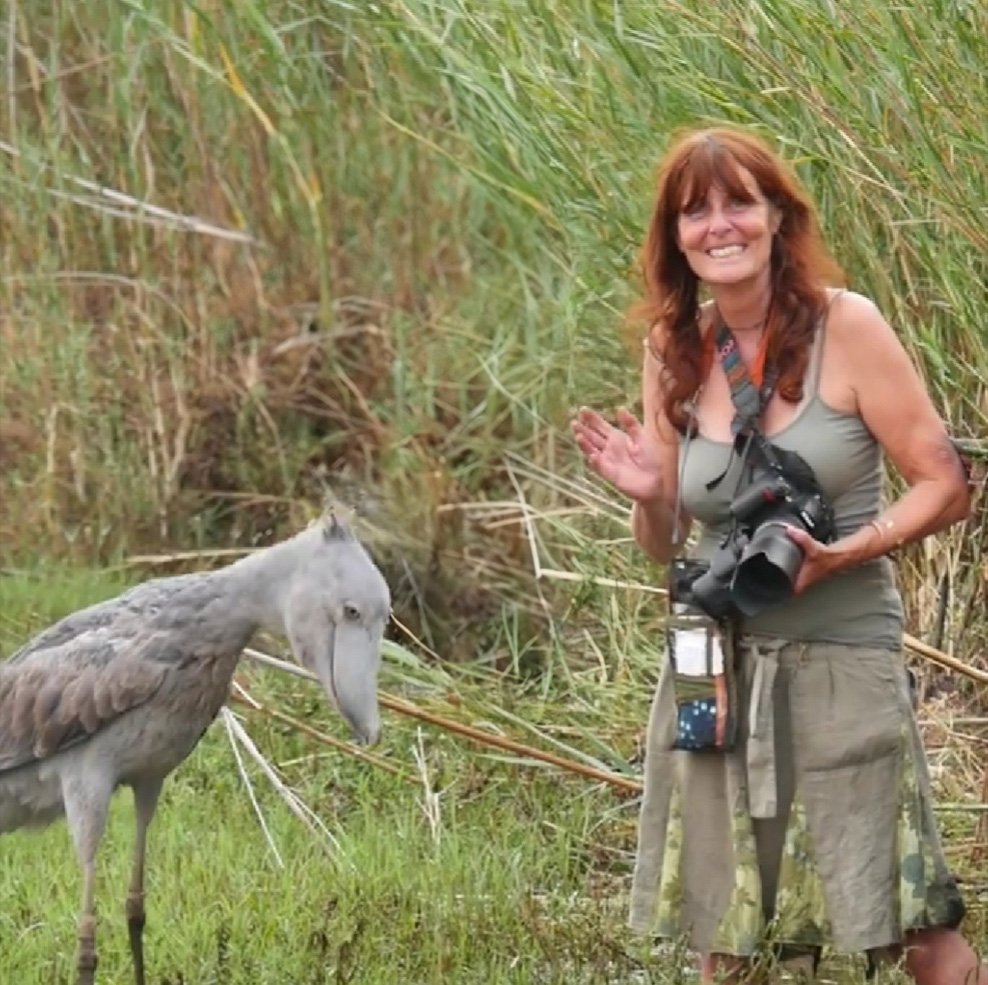 Home me and shoebill