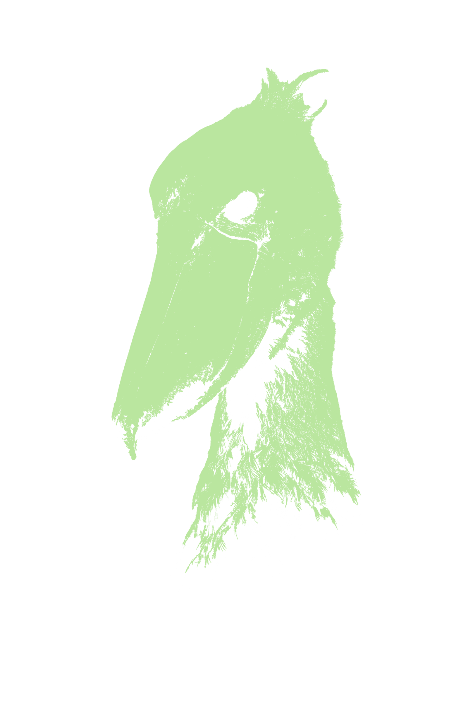 shoebill logo head green transparent