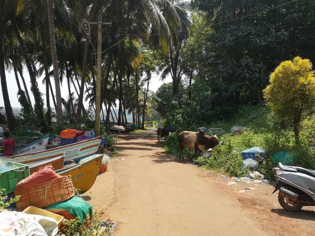 betulroad