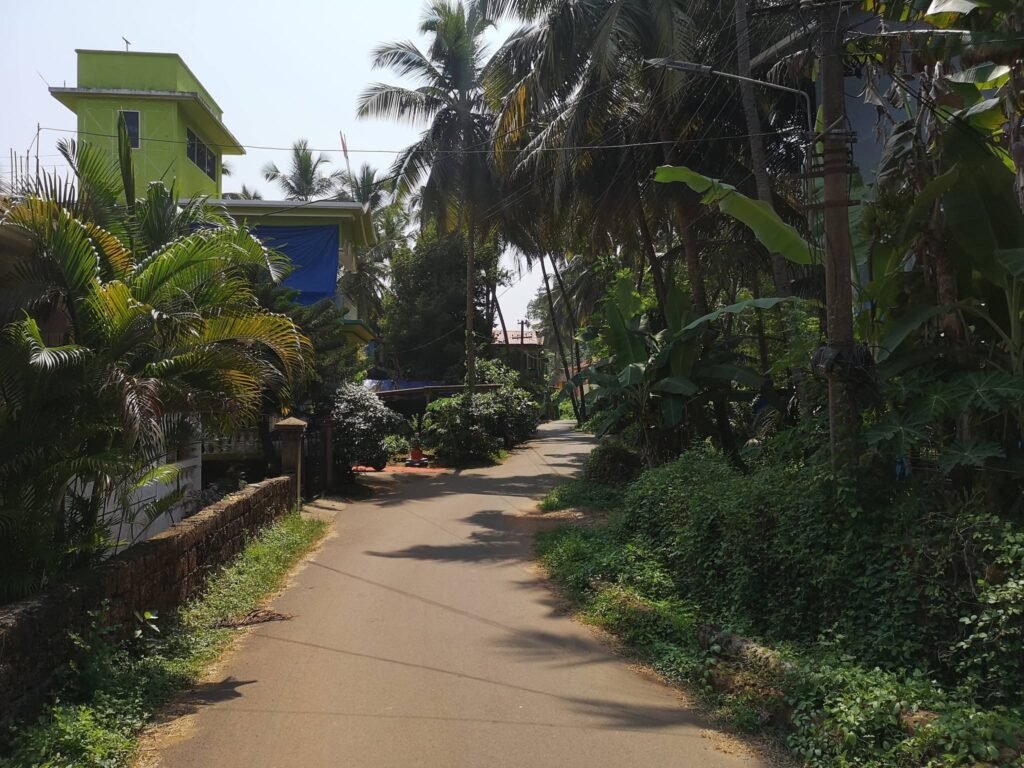 betulroad1