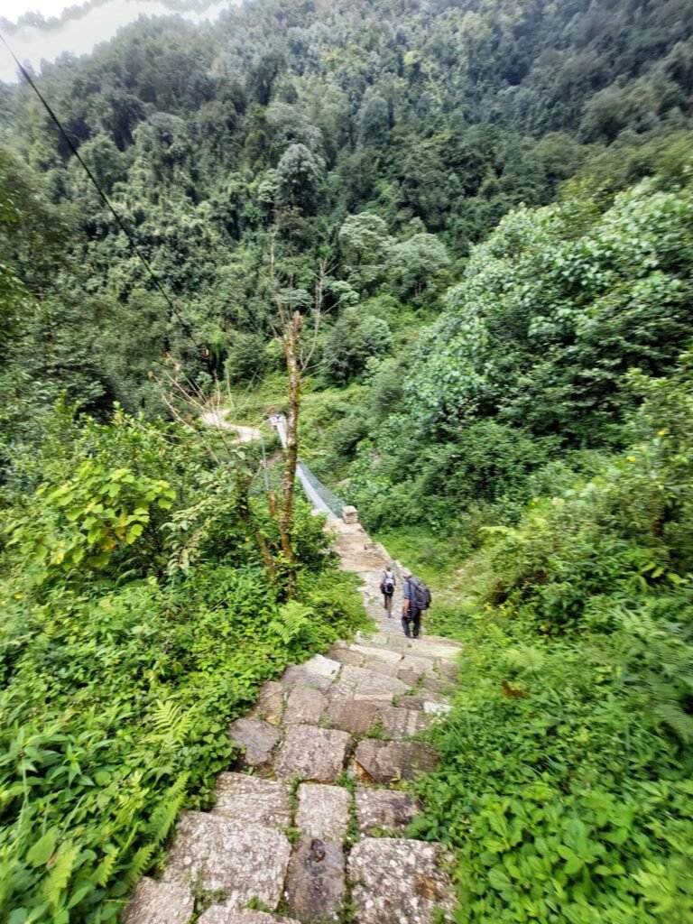 steps